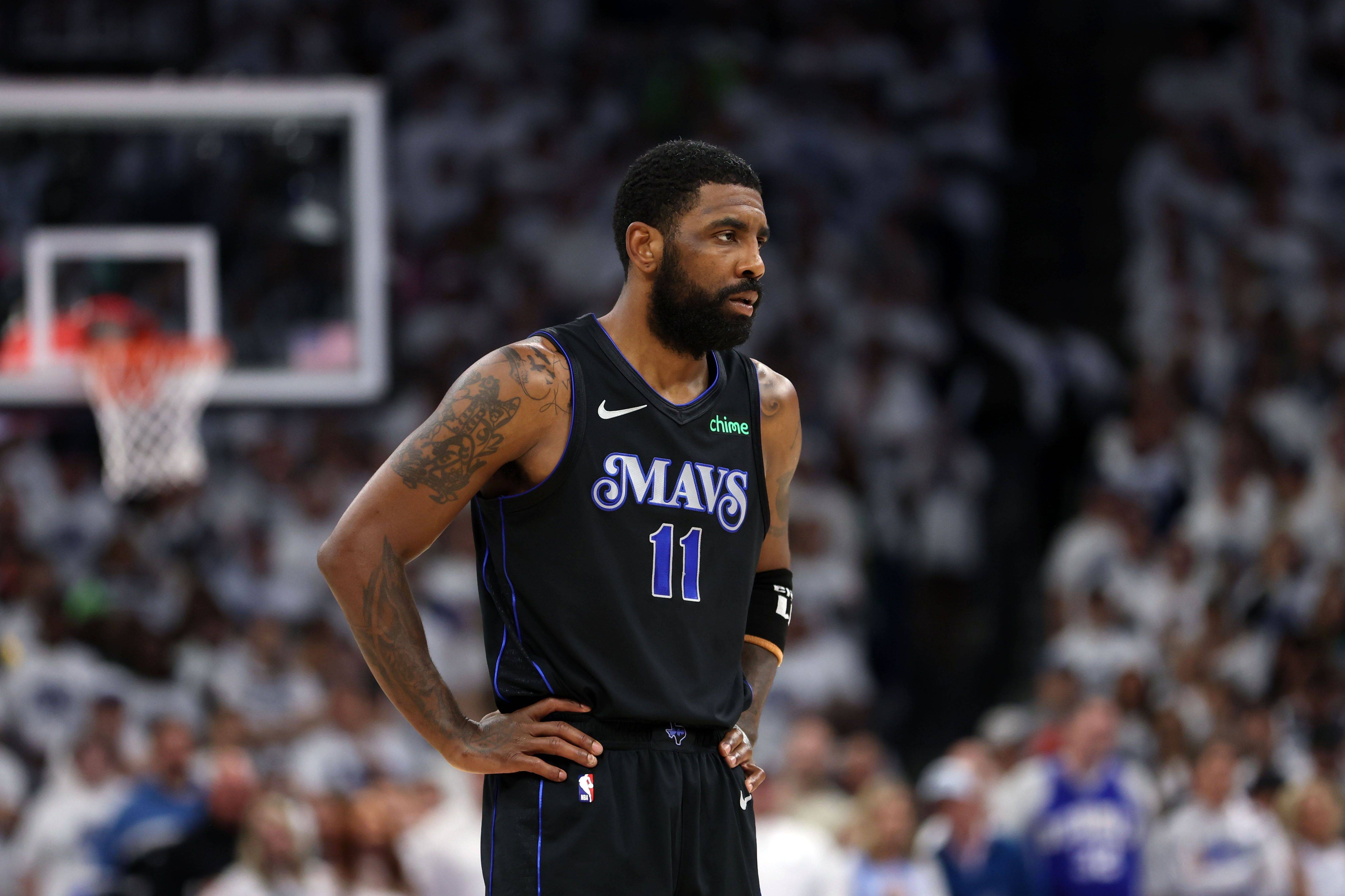 新的生机 新的生机